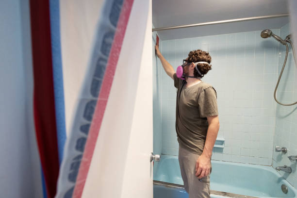 Best Indoor Air Quality Assessment  in St Johns, AZ
