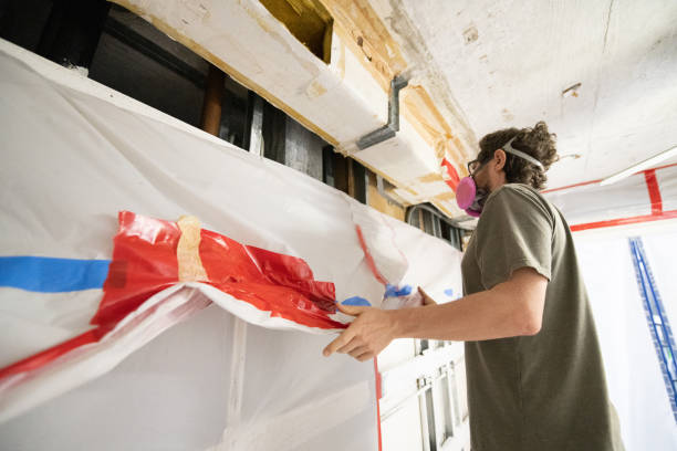 Best Biohazard Mold Removal  in St Johns, AZ