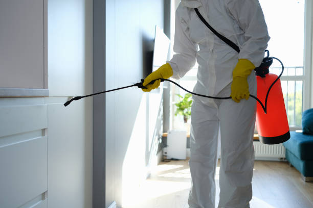 Best Forensic Mold Investigation  in St Johns, AZ