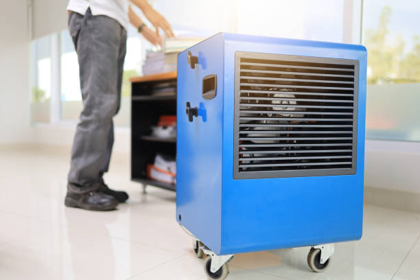 Best Mold Documentation for Insurance Claims  in St Johns, AZ